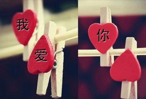 沈青玫降初嘉措完结+无广告（降初嘉措沈青玫）全文免费阅读无弹窗大结局_（降初嘉措沈青玫：结局+番外）降初嘉措沈青玫：结局+番外最新章节列表_笔趣阁（降初嘉措沈青玫）