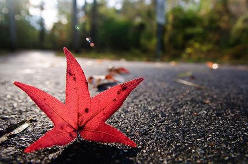 c小说《蜜雪奔现》全文免费邬桃尘昭读无弹窗-邬桃尘昭小说全文在线赏析