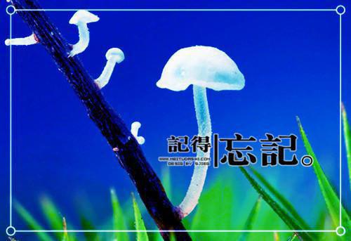 大学生经典哲理散文珍藏推荐
