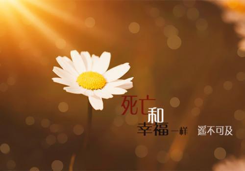 市场企划工作简历模板
