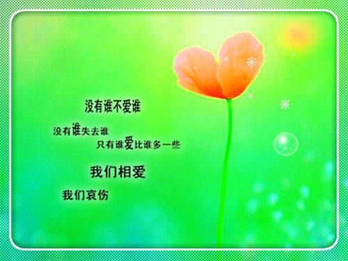 【实用】教师交流工作总结三篇