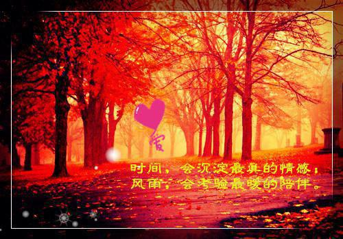 宋慕瑶宋满月(可笑时光)全文免费阅读无弹窗大结局_ 可笑时光免费阅读最新章节列表_笔趣阁（宋慕瑶宋满月）