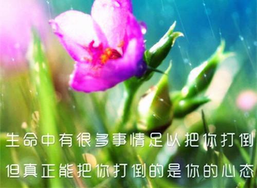 简短辞职报告范文5篇