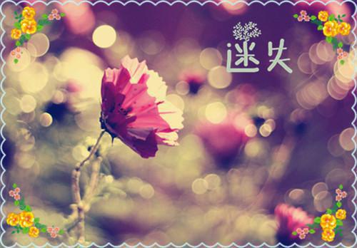 好姐妹结婚祝福语汇总