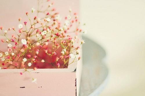 充满快乐的生日祝福语