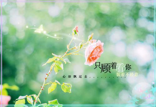 经典励志的歌曲有哪些