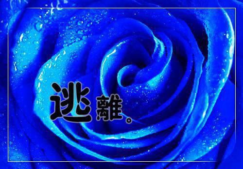 机电一体化求职信范文
