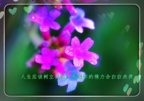 励志的歌曲学生唱的