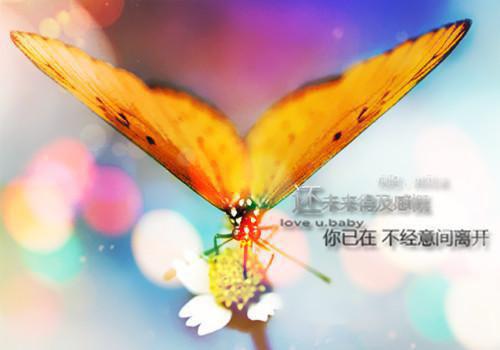 重生后我成为三界扛把子苏婉：+番外+后续（重生后我成为三界扛把子苏婉）番外章节列表