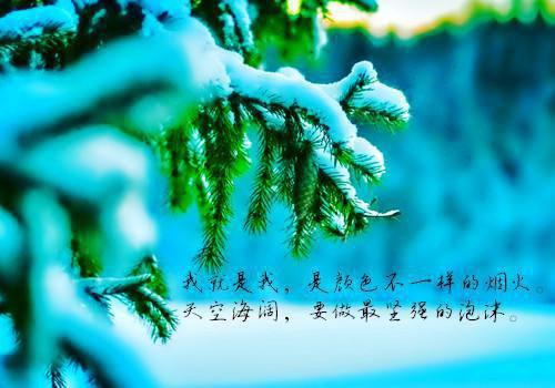 陆昂段芝芝（宁琪陆昂段芝芝）全文免费阅读无弹窗大结局_陆昂段芝芝小说（宁琪陆昂段芝芝）最新章节列表_笔趣阁（宁琪陆昂段芝芝）