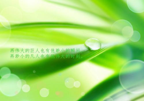 生物教研工作总结