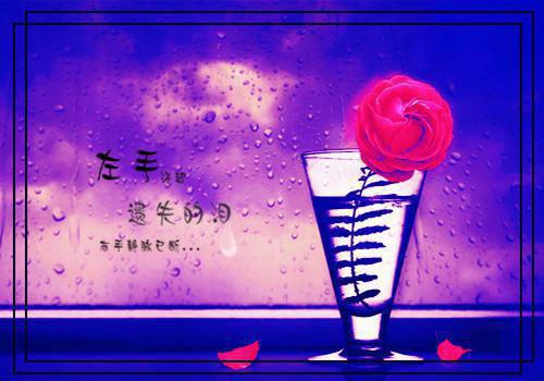 成功中有我作文5篇
