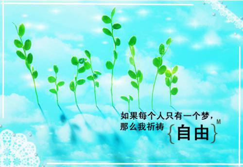 关于小学学校工作总结模板七篇