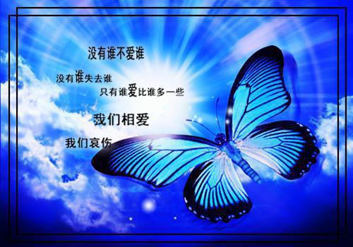 体育老师个人工作总结三篇