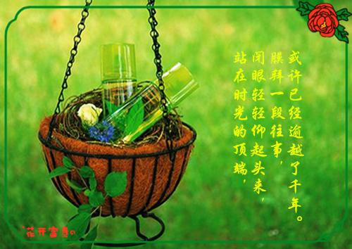90后校园爱情故事