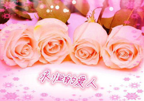 八零军婚甜蜜蜜，前夫后悔火葬场终章（八零军婚甜蜜蜜，前夫后悔火葬场）完整章节列表_笔趣阁