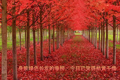 科技技术名人名言