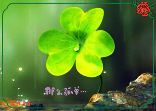 掌勺人小说林威免费阅读（林威）全文免费阅读无弹窗大结局_ （掌勺人小说林威免费阅读）林威最新章节列表_笔趣阁（掌勺人小说林威免费阅读）