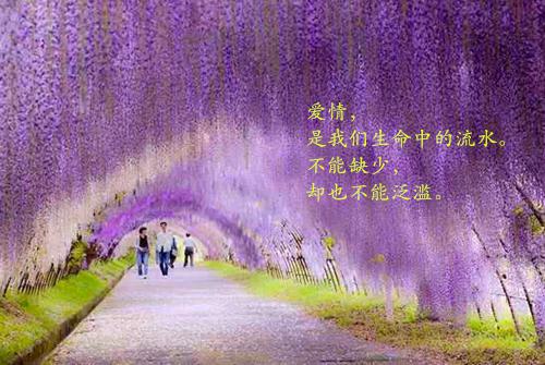 2023护士辞职信模板范文