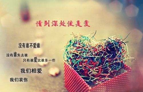执着爱情故事