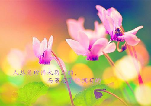 公务员政审实习鉴定书