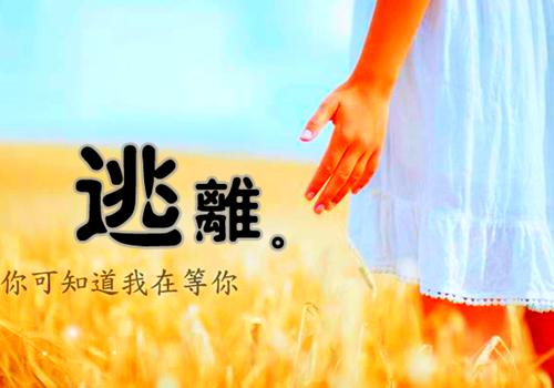 2023年市场营销实习报告