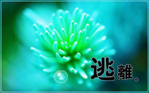 邀请函范文英文80词