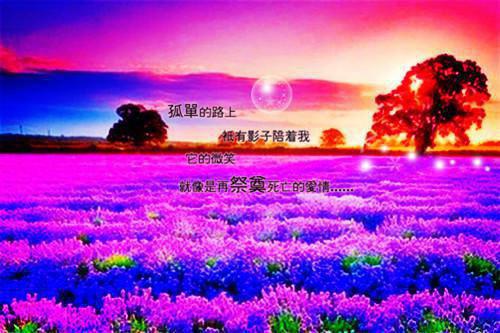 有关电影评价的名言
