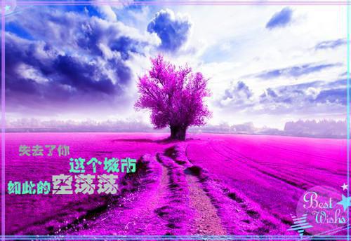 纯文本的幼儿故事