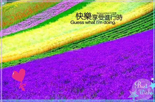 事业单位年度思想政治工作总结
