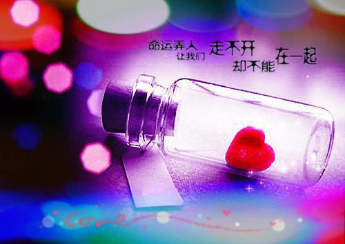 一句话经典语录：没有人值得你流泪