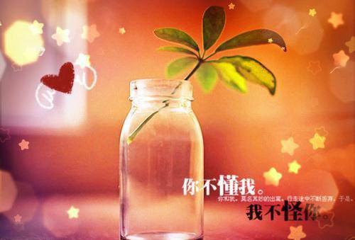 中专实习报告