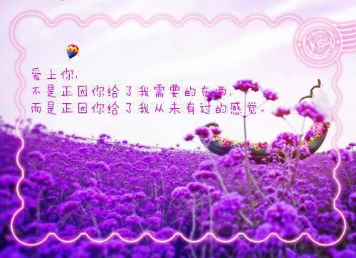 学校少先队工作总结