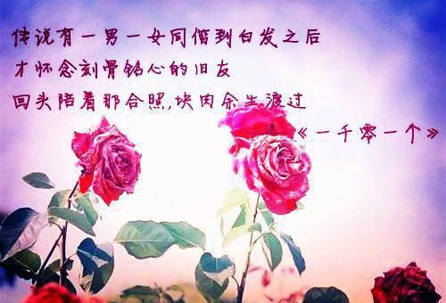 会计学大学生毕业实习总结