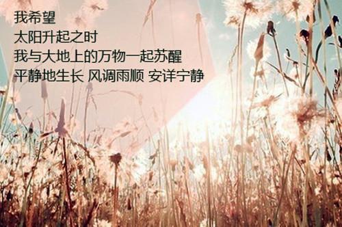 伤感网络语录大全