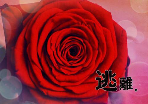 大学班干部工作总结