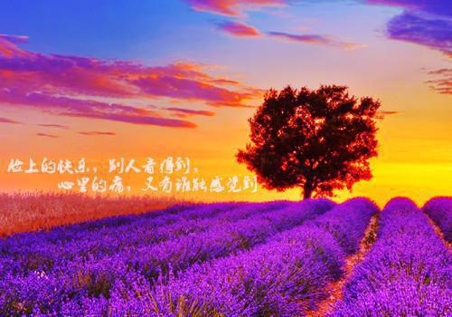 满心眷恋无人语：全文+结局+番外（姜熙妍陆知年）全文免费阅读无弹窗大结局_(满心眷恋无人语：全文+结局+番外)最新章节列表_笔趣阁（姜熙妍陆知年）