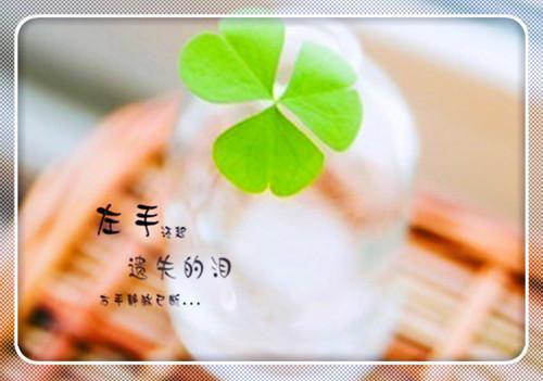 顾南絮江淮之全文免费阅读无弹窗大结局_（顾南絮江淮之顾南絮江淮之小说）顾南絮江淮之最新章节列表笔趣阁（顾南絮江淮之）