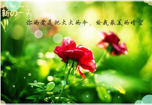 冰淇淋痛苦散文