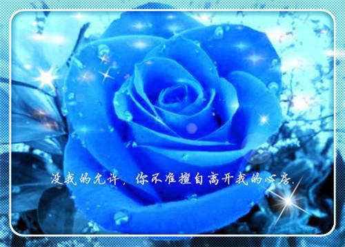 描写冬天的诗句——《冬日杂咏》