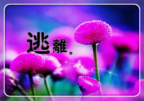 数学教研个人工作总结