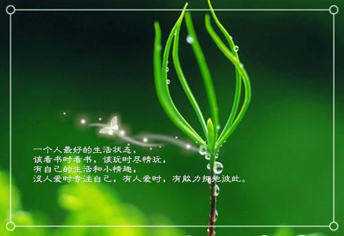 关于雨的诗句——《卜算子·中秋前一日和昌甫所寄》