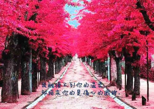 有关承诺名人名言