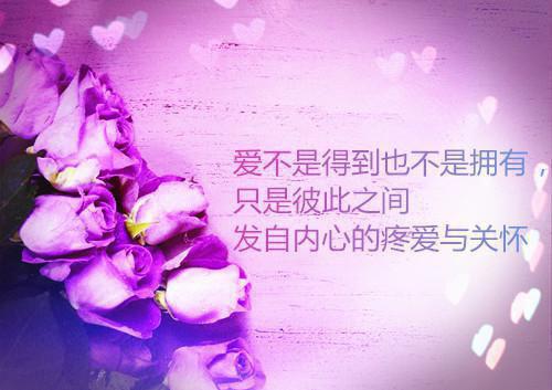 （阮若黎薄司御：在前男友心口上撒盐）在前男友心口上撒盐阮若黎薄司御：全文+结局+番外免费阅读完结版全文_阮若黎薄司御：在前男友心口上撒盐最新章节无弹窗_笔趣阁（在前男友心口上撒盐阮若黎薄司御：全文+结局+番外）