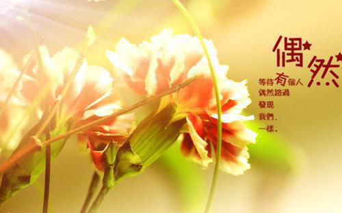 迟曦宁顾霁渊（迟曦宁顾霁渊）全文免费阅读无弹窗大结局_迟曦宁顾霁渊全文免费阅读_笔趣阁（迟曦宁顾霁渊）