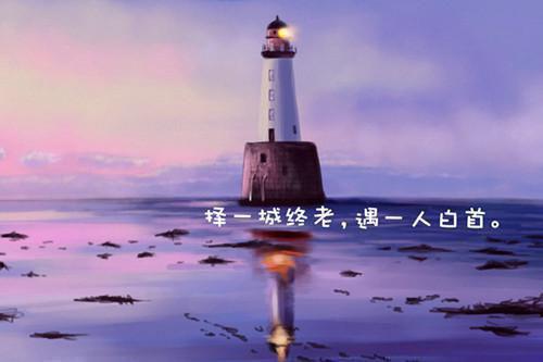 博客管理员的辞职报告