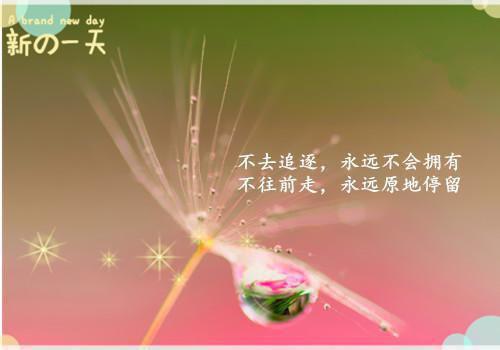 其实，成功的路不止一条