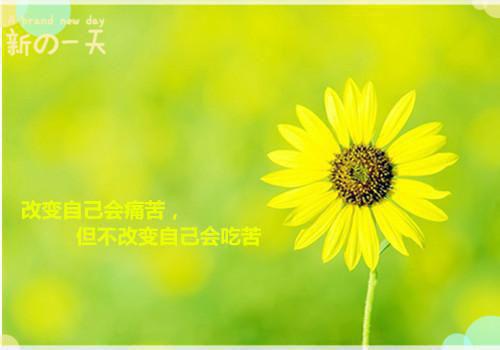 如果，不遥远