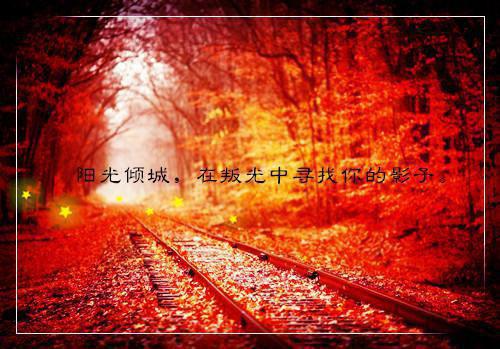 距离的惆怅散文