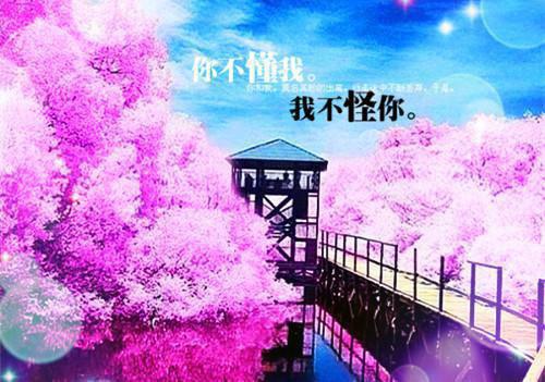 励志激励人生的格言